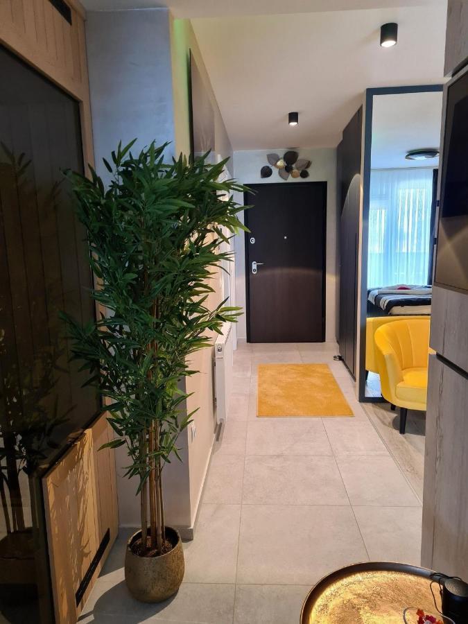 Wellness Apartments 바라즈딘 외부 사진